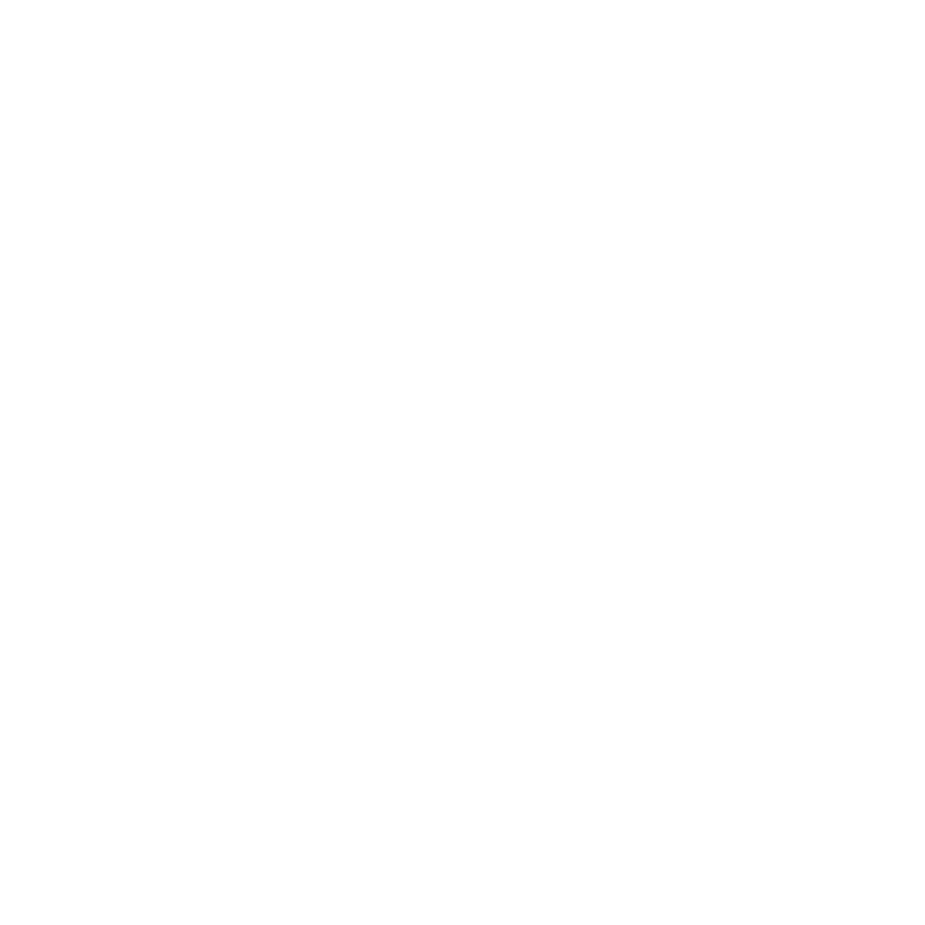 flame-icon-white-01