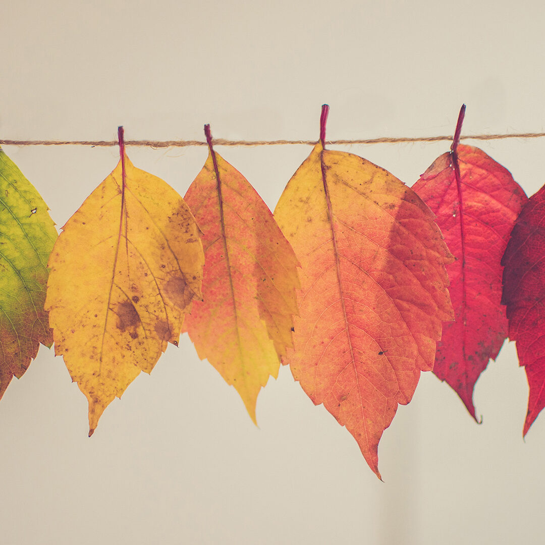 assorted-color-lear-hanging-decor