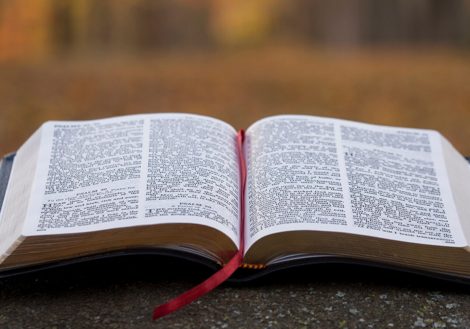 bible-page-on-gray-concrete-surface