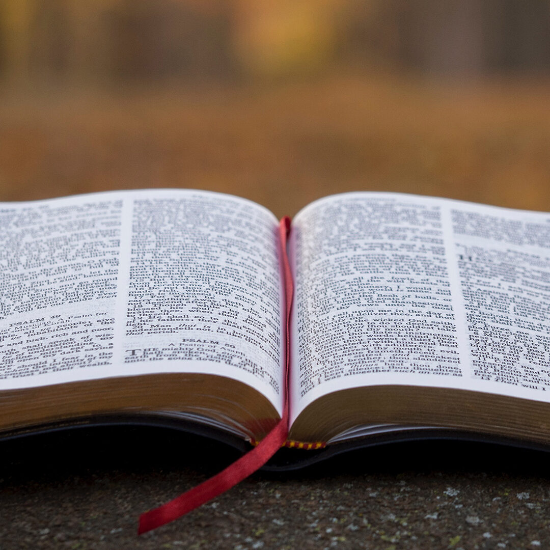 bible-page-on-gray-concrete-surface
