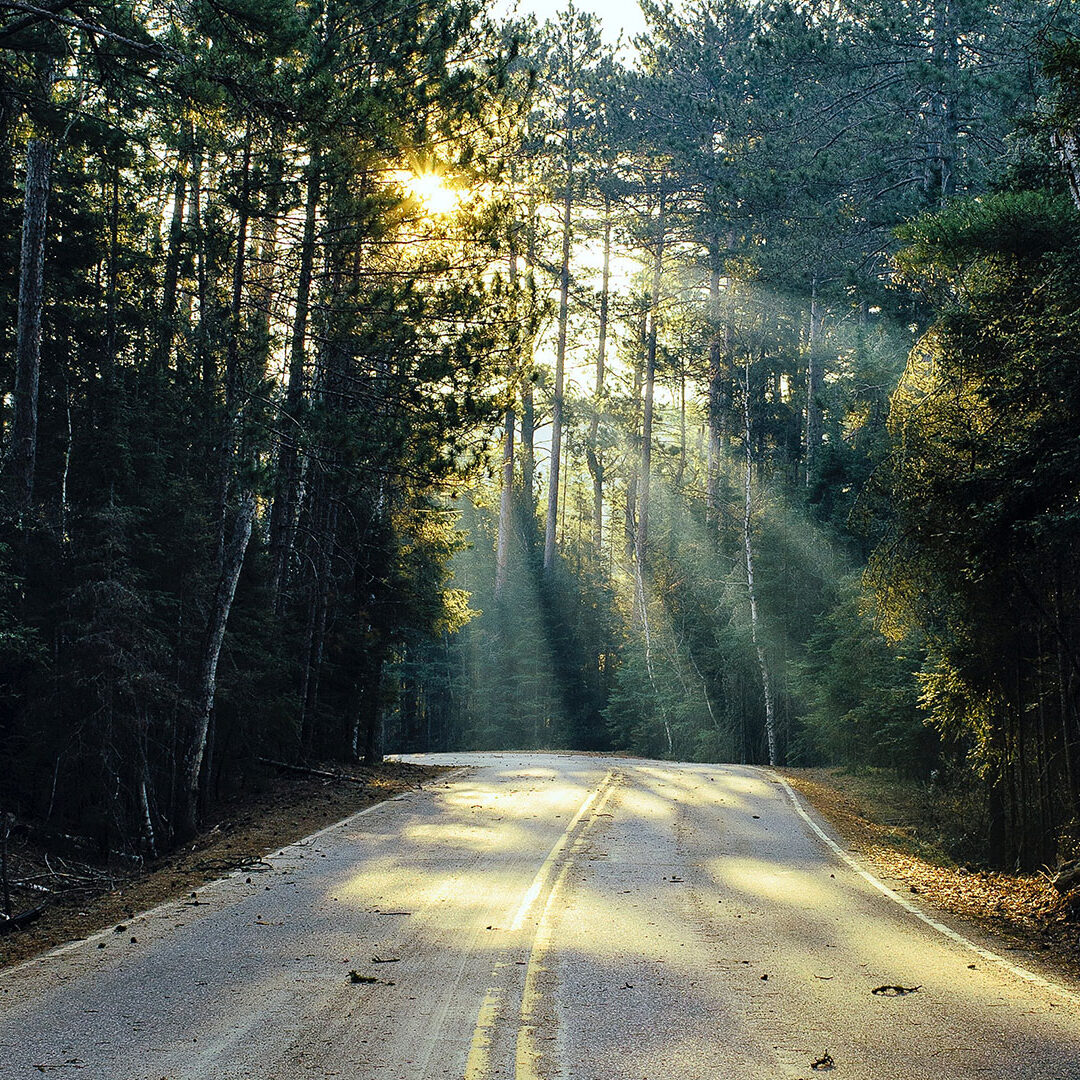 road-surrounded-with-trees